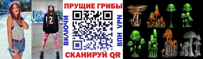 Псилоцибиновые грибы GOLDEN TEACHER  blacksprut зеркало  Переславль-Залесский 